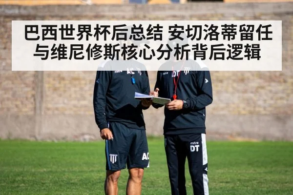 巴西世界杯后总结 安切洛蒂留任与维尼修斯核心分析背后逻辑