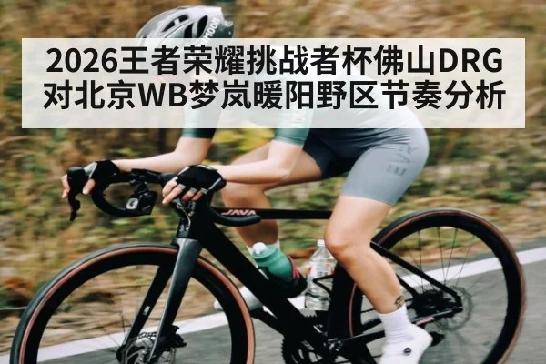 2026王者荣耀挑战者杯佛山DRG对北京WB梦岚暖阳野区节奏分析